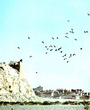 Birecik mit der Ruine der Seldschuken-Festung